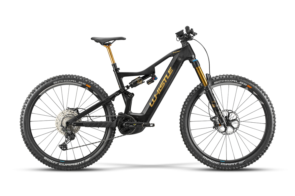 OLYMPIA E-BIKE B-RUSH GX SPECIAL EDITION