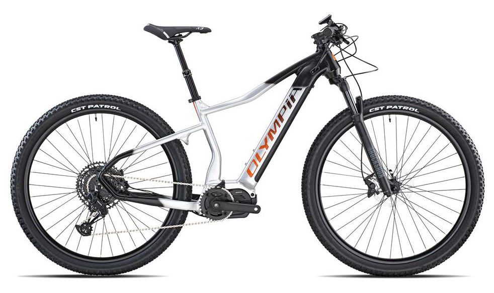 OLYMPIA E-BIKE PERFORMER 900